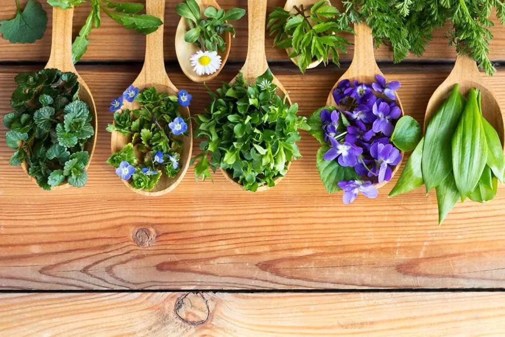 Herbs on a wooden table.
