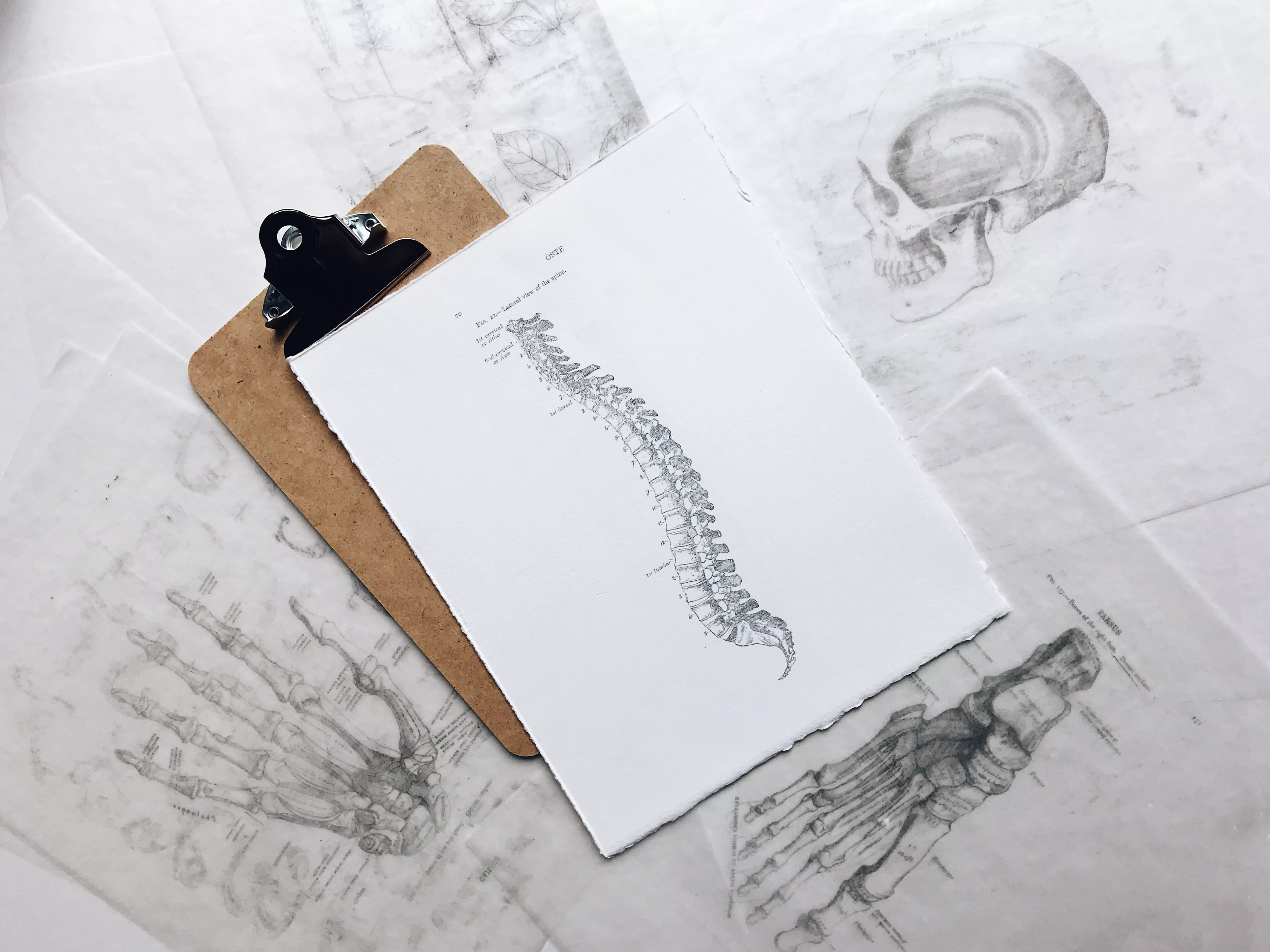 A clipboard with a drawing of a skeleton at home.